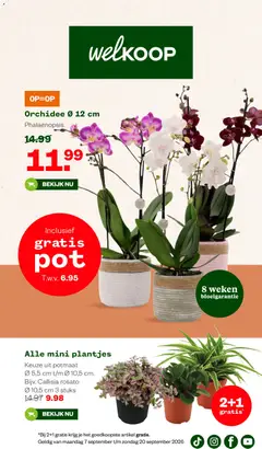 Voorbeeld van Welkoop folder van winkel Welkoop geldig vanaf 07-09-2026