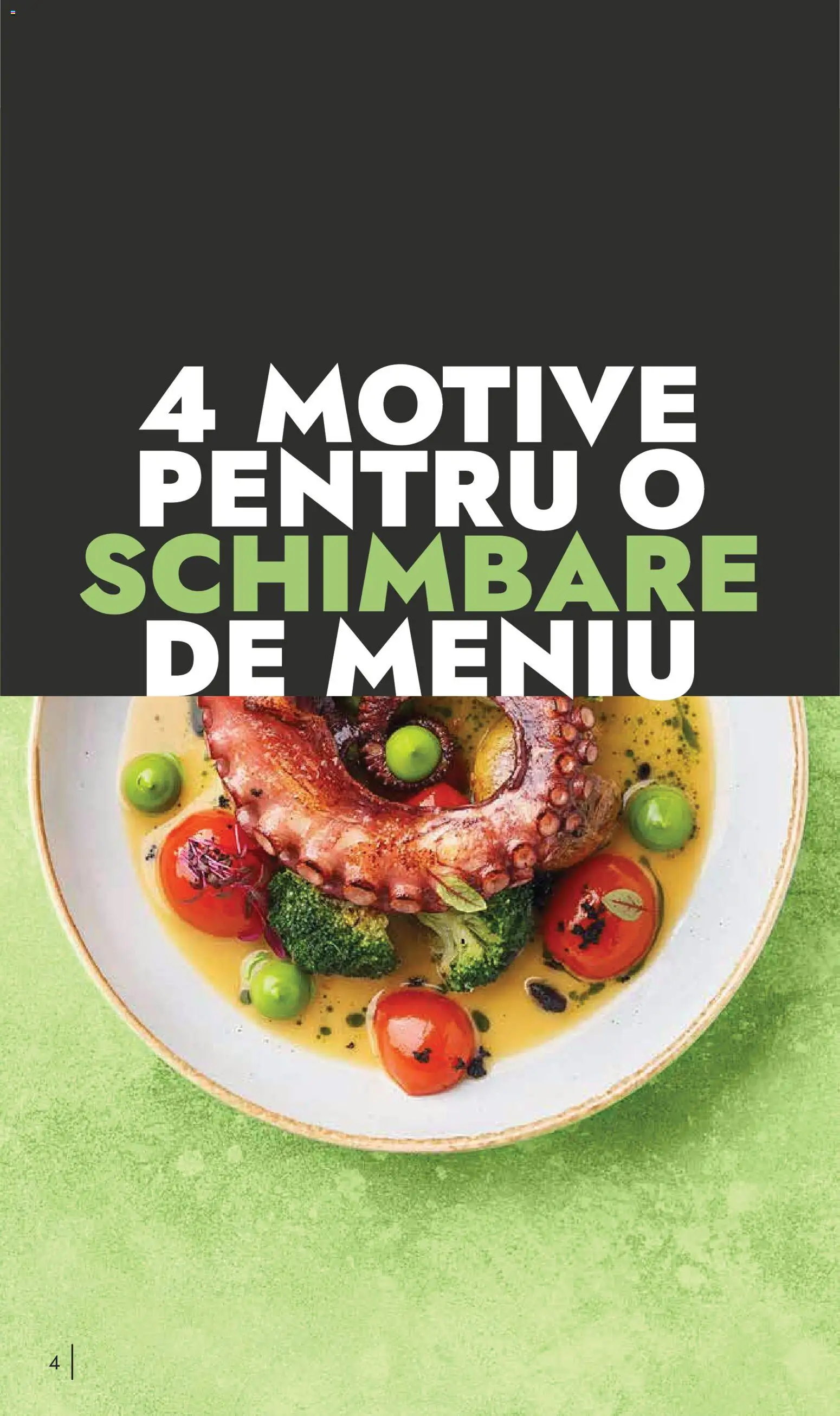 Previzualizarea de cataloage: Metro Catalog - ReView Tendințe și Recomandări valabil de la 10.11.2025