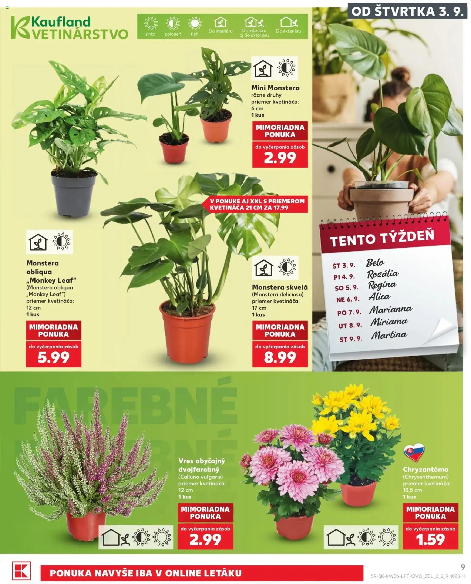 Náhľad Kaufland letáku platného od 03.09.2026