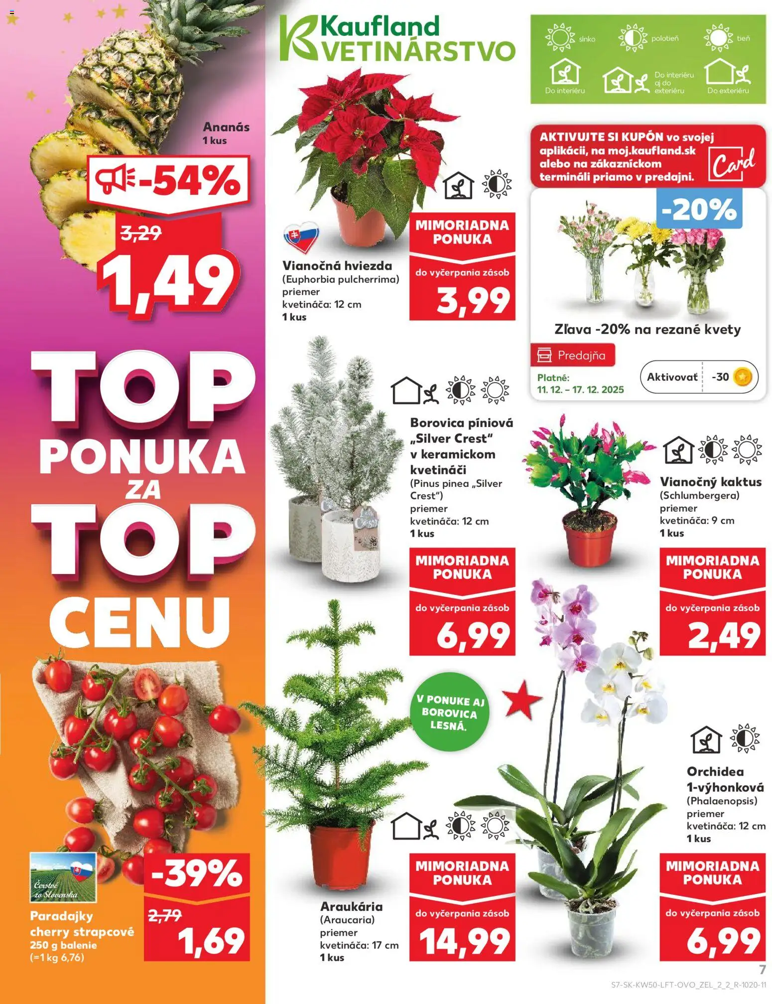 Náhľad Kaufland letáku platného od 11.12.2025 - Kvety, Orchidea, Paradajky, Ananás