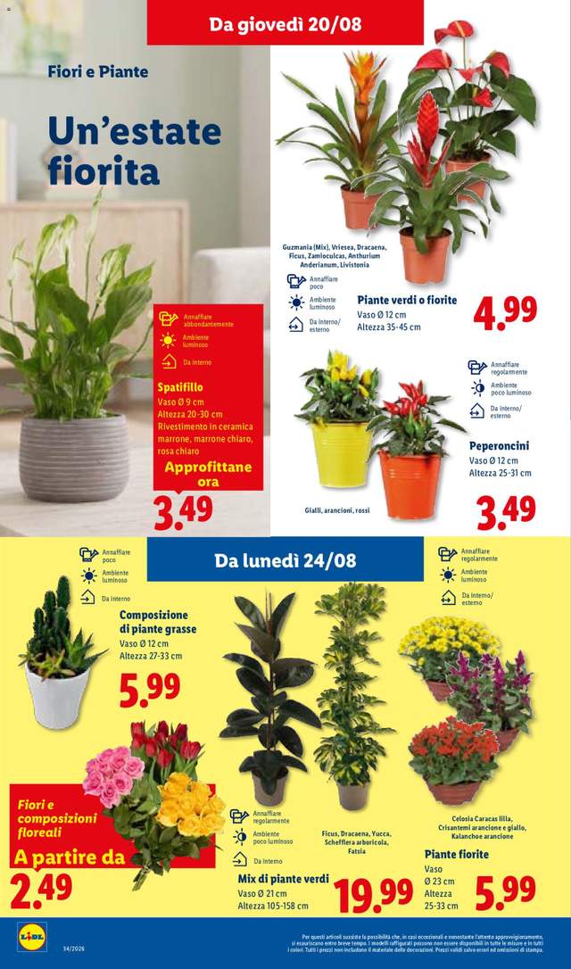 Nuovo volantino Lidl dal 20/08