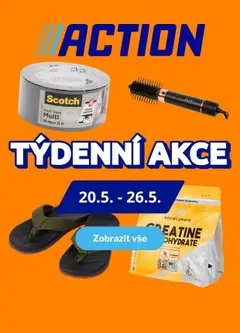 Náhled letáku Action Nabídka produktů od 20.05.2026