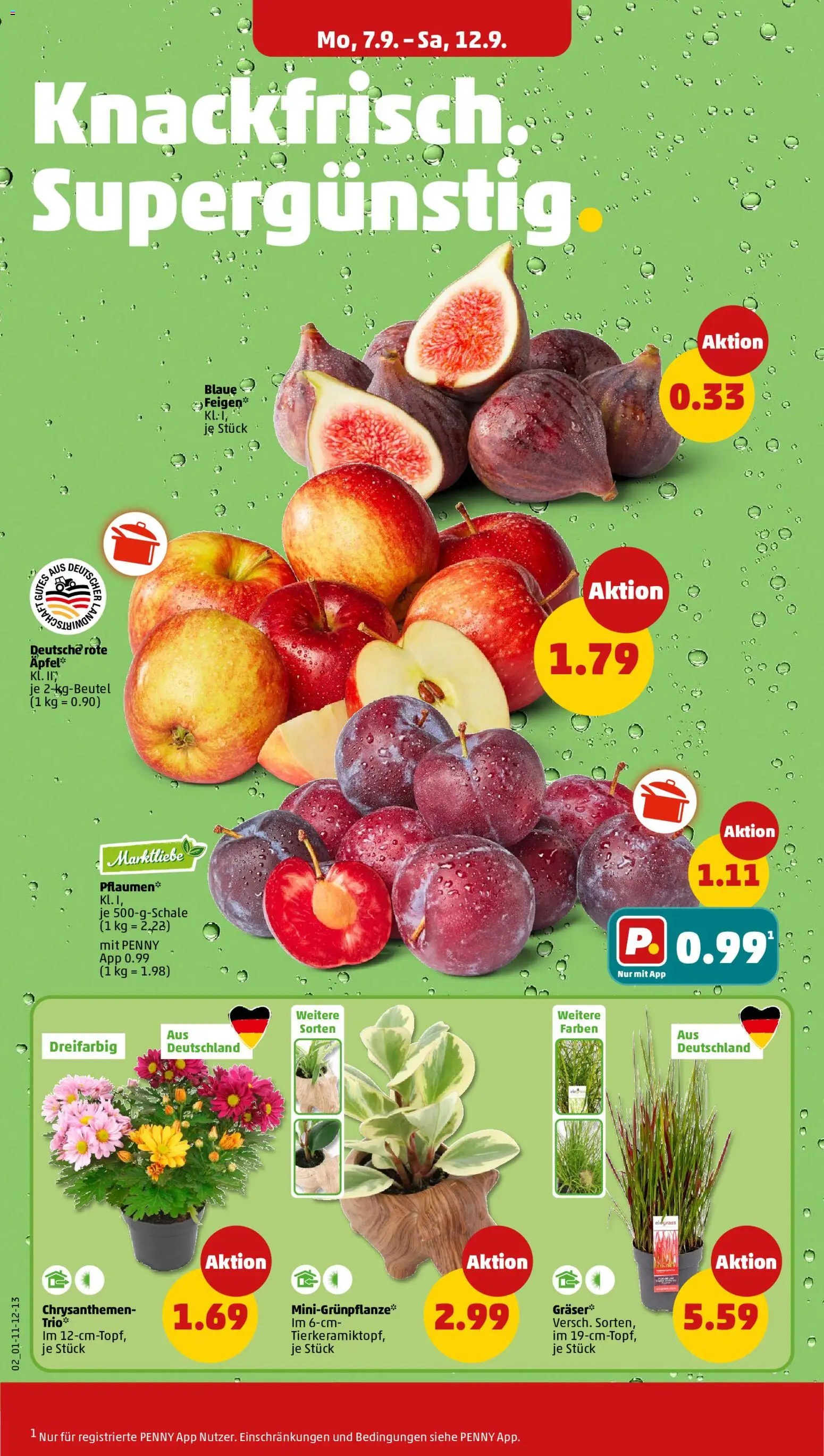 Vorschau von dem Prospekt des Geschäftes Penny, gültig ab dem 07.09.2026 - Pflaumen
