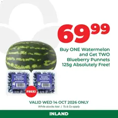 Preview of Food Lover's Market flyer valid from 14/10/2026