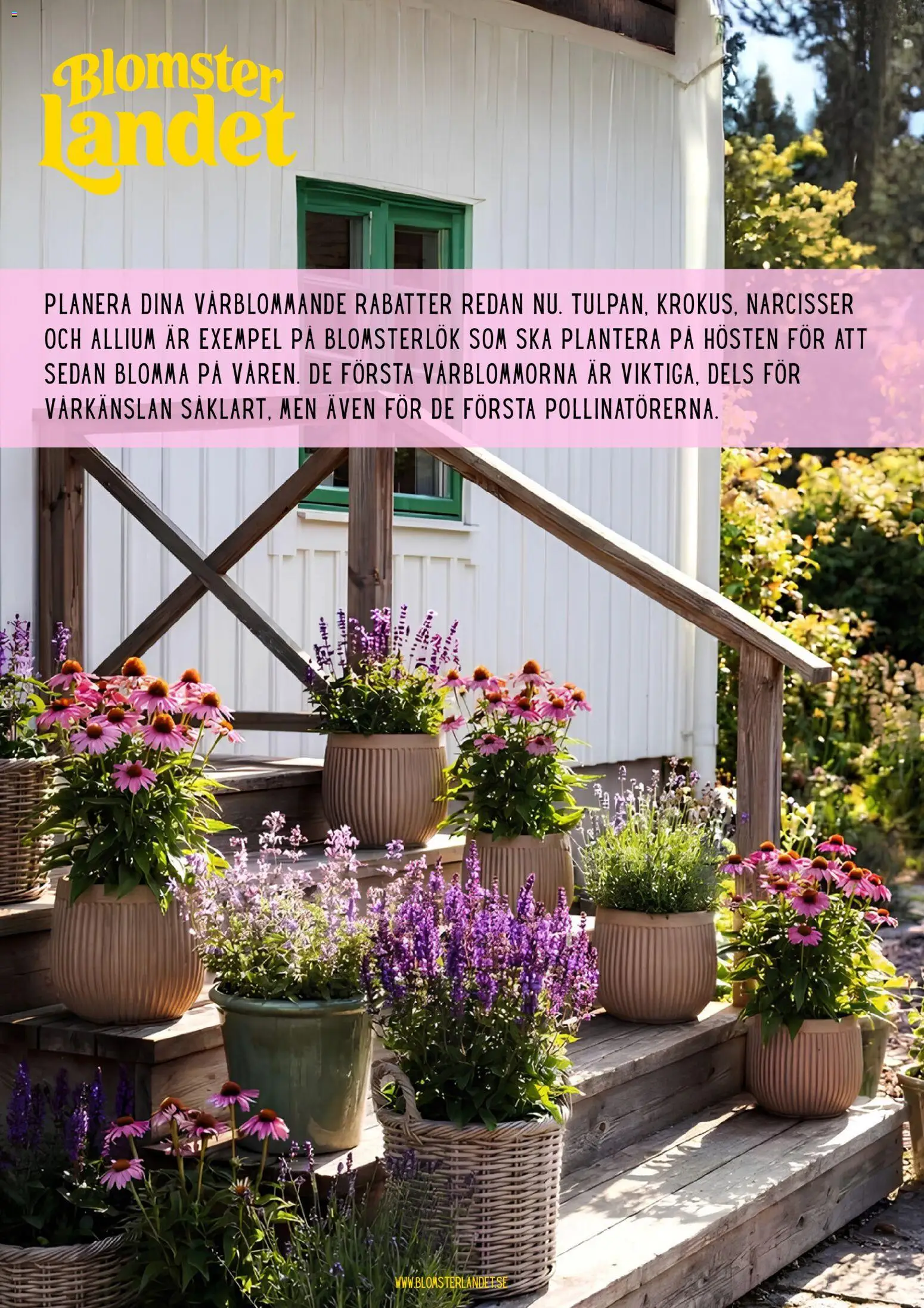 Förhandsgranska reklamblad Blomsterlandet erbjudanden från butik Blomsterlandet gäller från 13/08/2026