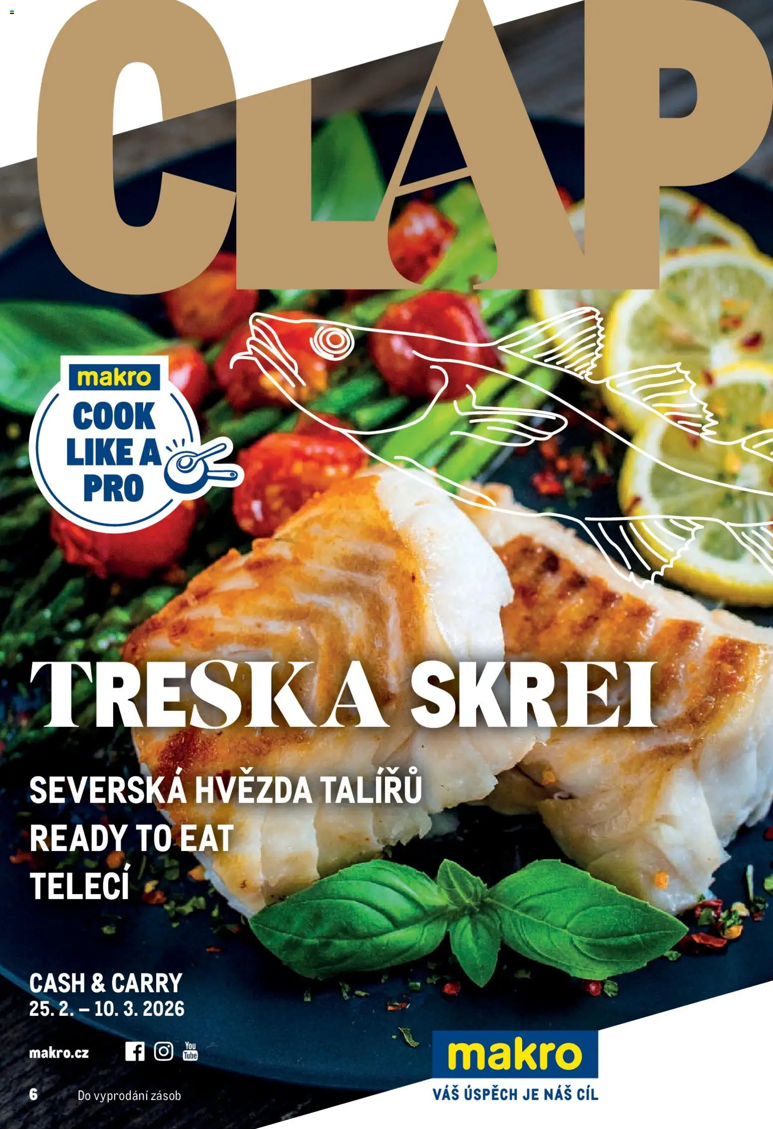 Náhled nabídky: Makro Leták - Pro milovníky jídla platný od 25.02.2026 - Treska
