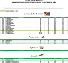Prévisualisation de Promocash Opportunités Marée du magasin Promocash formulaire valide 01/09/2026