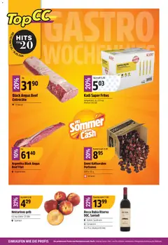 Vorschau des Merkblatts TopCC aktionen vom Shop TopCC gültig von 11.05.2026 bis 16.05.2026