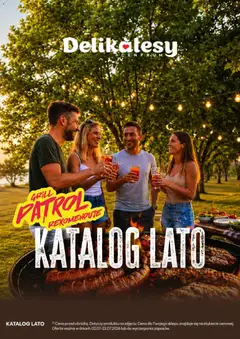 Pogląd gazetki "Delikatesy Centrum gazetka - Lato" ze sklepu Delikatesy Centrum ważnej od 02.07.2026