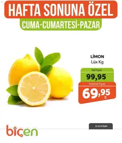 Biçen Market Biçen Market - Hafta Sonuna Özel - Sebze İndirimi 11.09.2026 - Broşürünün önizlemesi