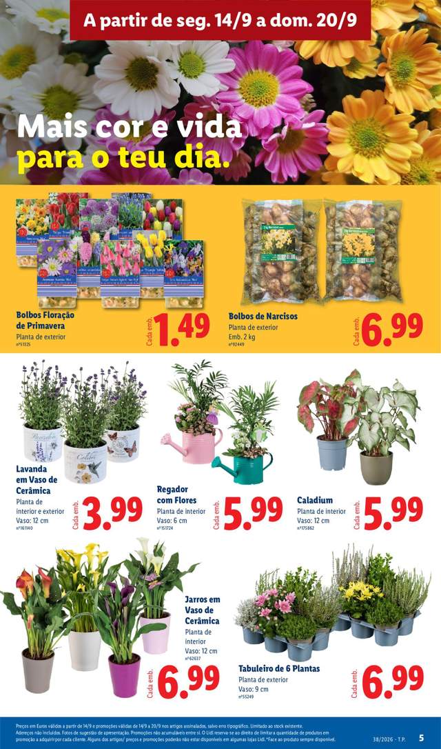 Novo folheto Lidl a partir de 14/09