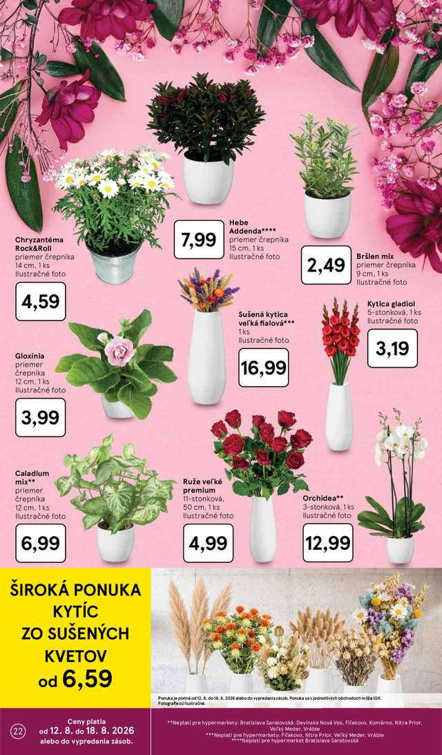 Nový Tesco leták od 12.08.