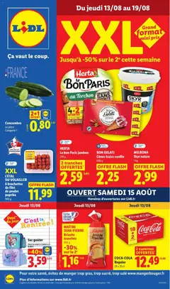 Prévisualisation de LIDL catalogue du magasin LIDL formulaire valide 13/08/2026
