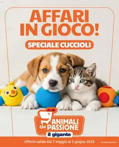Anteprima dell'opuscolo Il Gigante volantino Animali dal negozio Il Gigante valido da 07/05/2026
