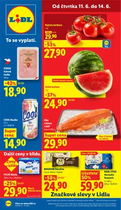 Náhled nabídky: Lidl Lidl leták platný od 11.06.2026
