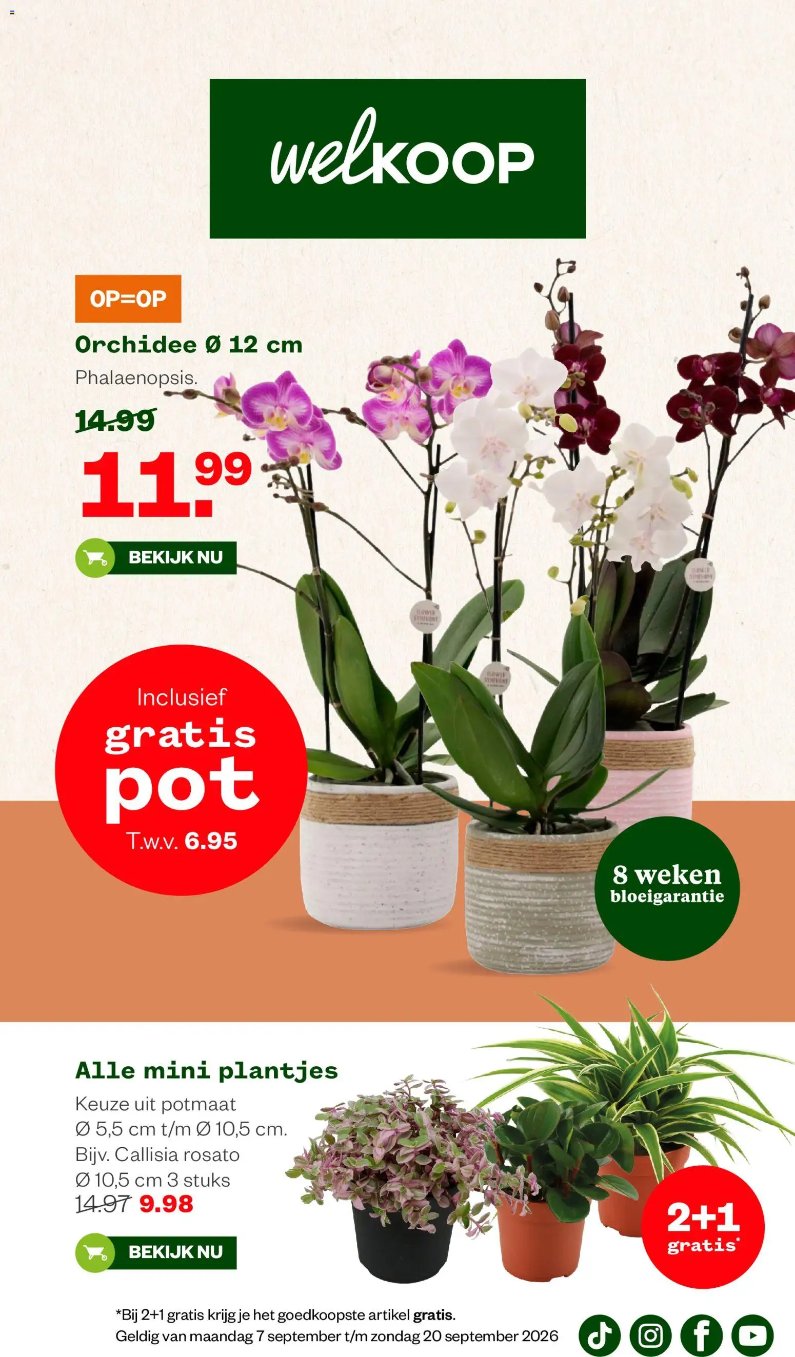 Voorbeeld van Welkoop folder van winkel Welkoop geldig vanaf 07-09-2026