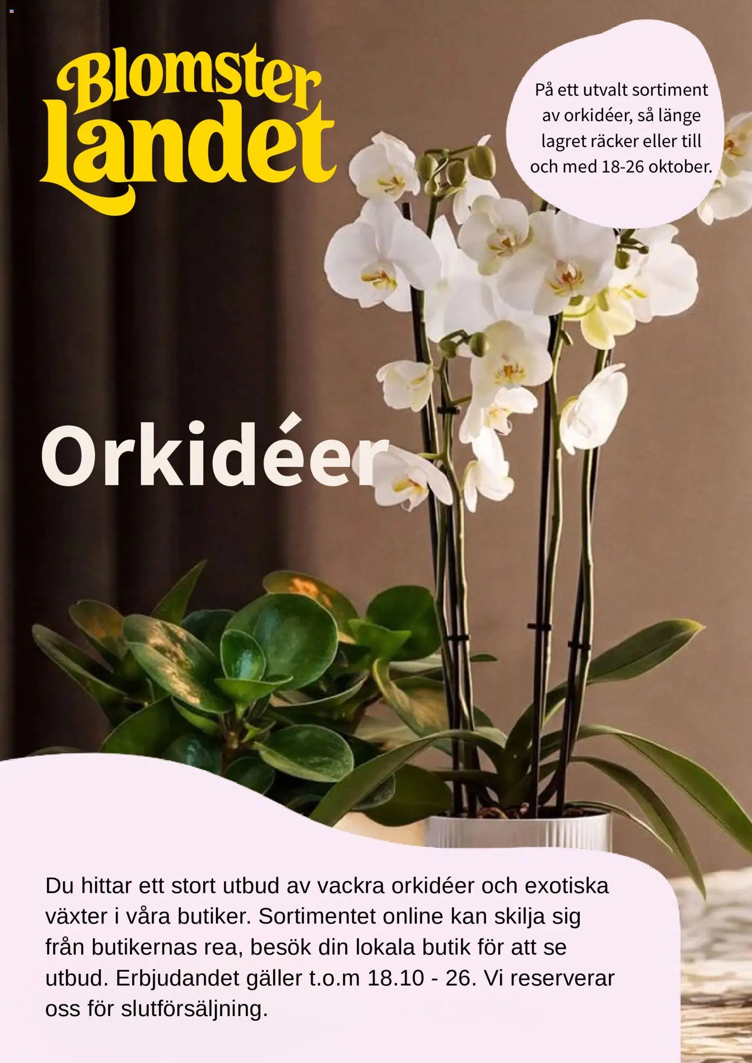 Förhandsgranska reklamblad Blomsterlandet erbjudanden från butik Blomsterlandet gäller från 09/10/2026 - Galler