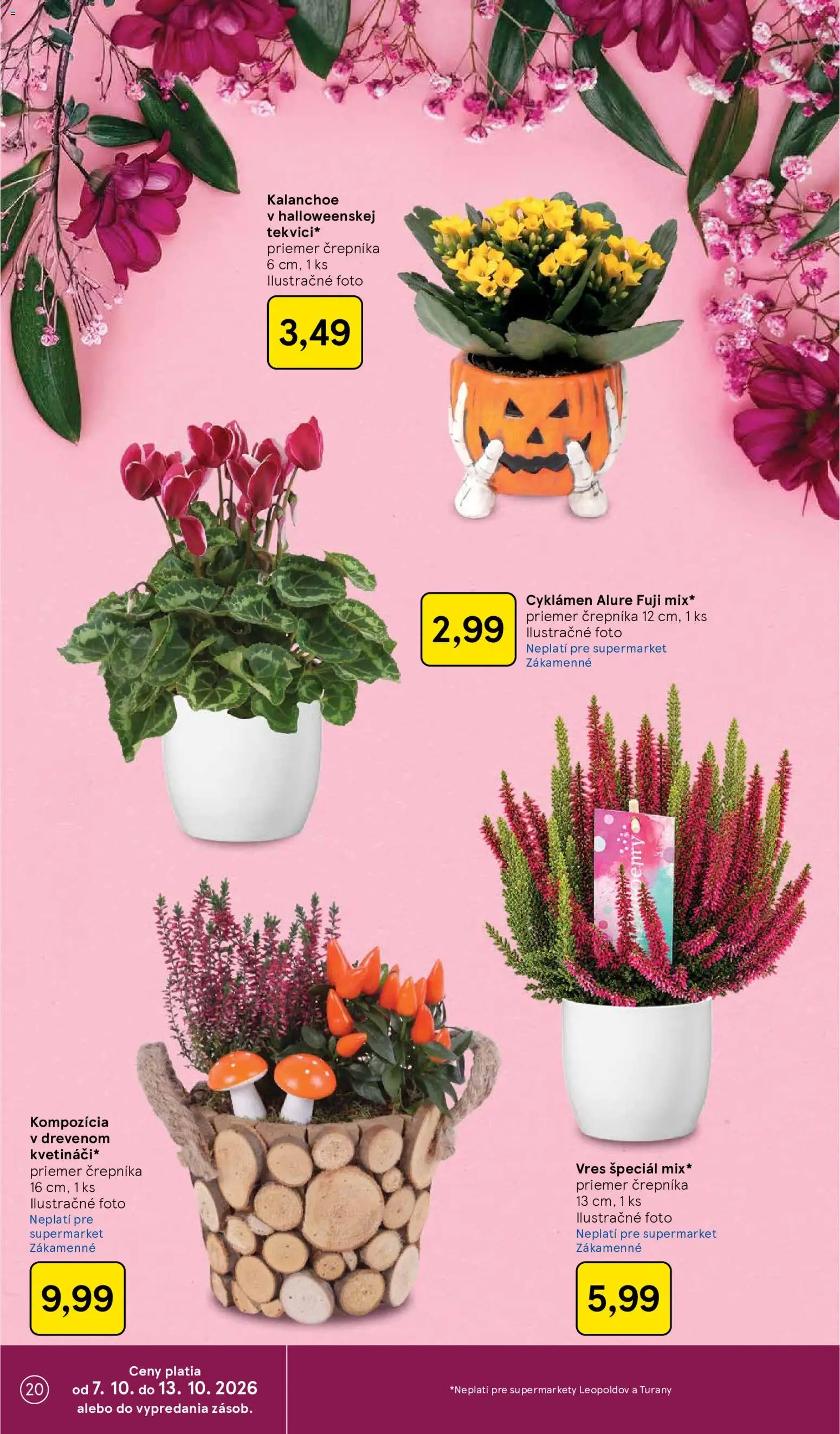 Náhľad Tesco letáku platného od 07.10.2026