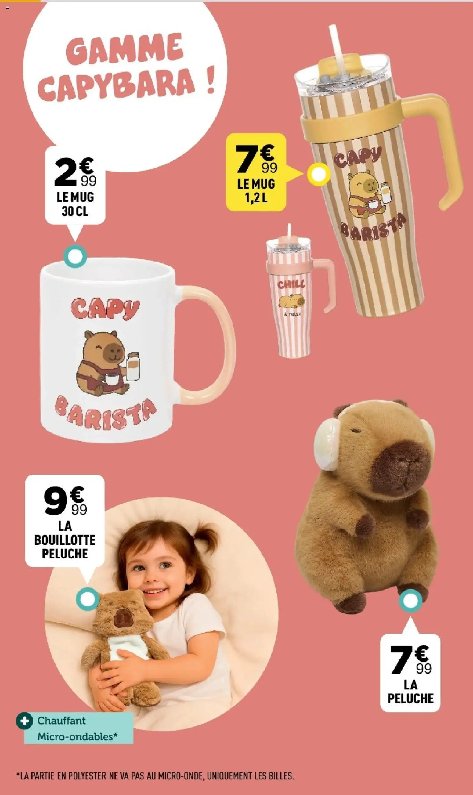 Prévisualisation de Centrakor catalogue du magasin Centrakor formulaire valide 19/10/2026 - Bouillotte, Peluche