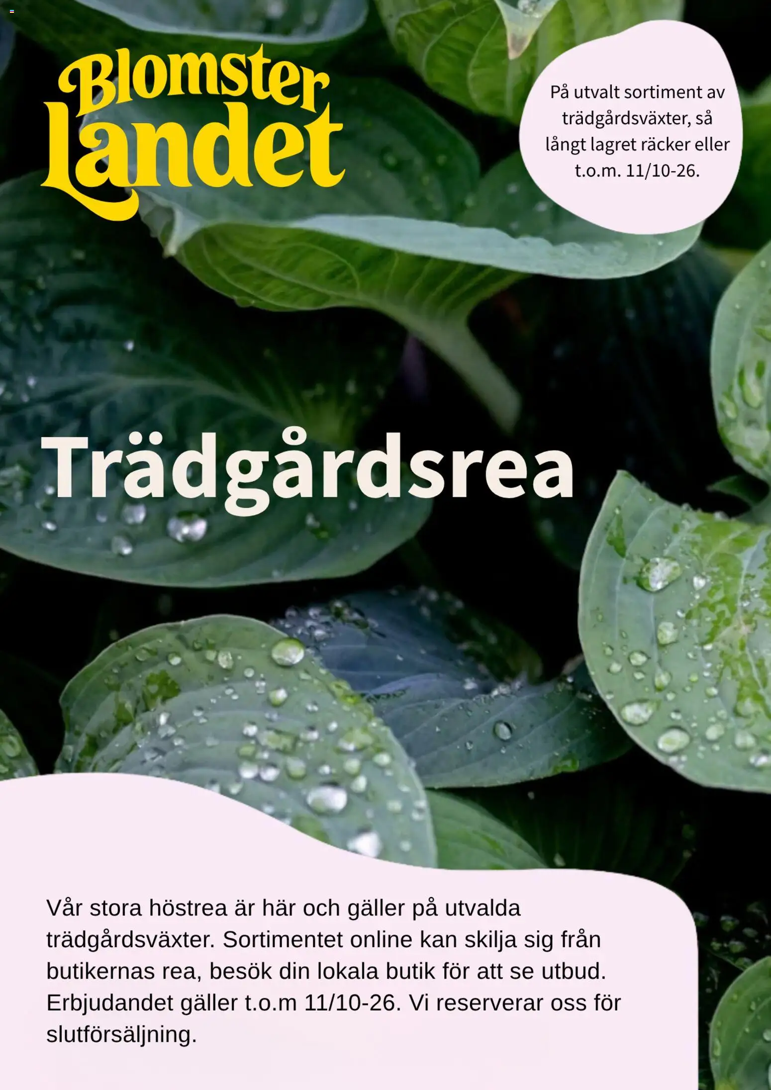 Förhandsgranska reklamblad Blomsterlandet erbjudanden från butik Blomsterlandet gäller från 22/09/2026