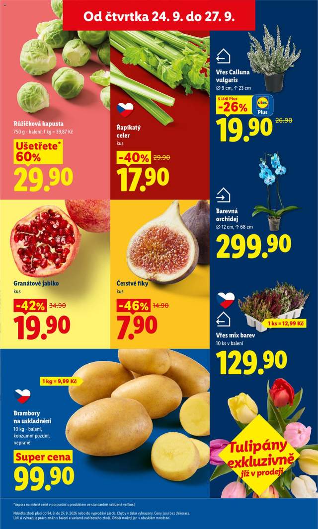 Nový Lidl leták od 24.09.