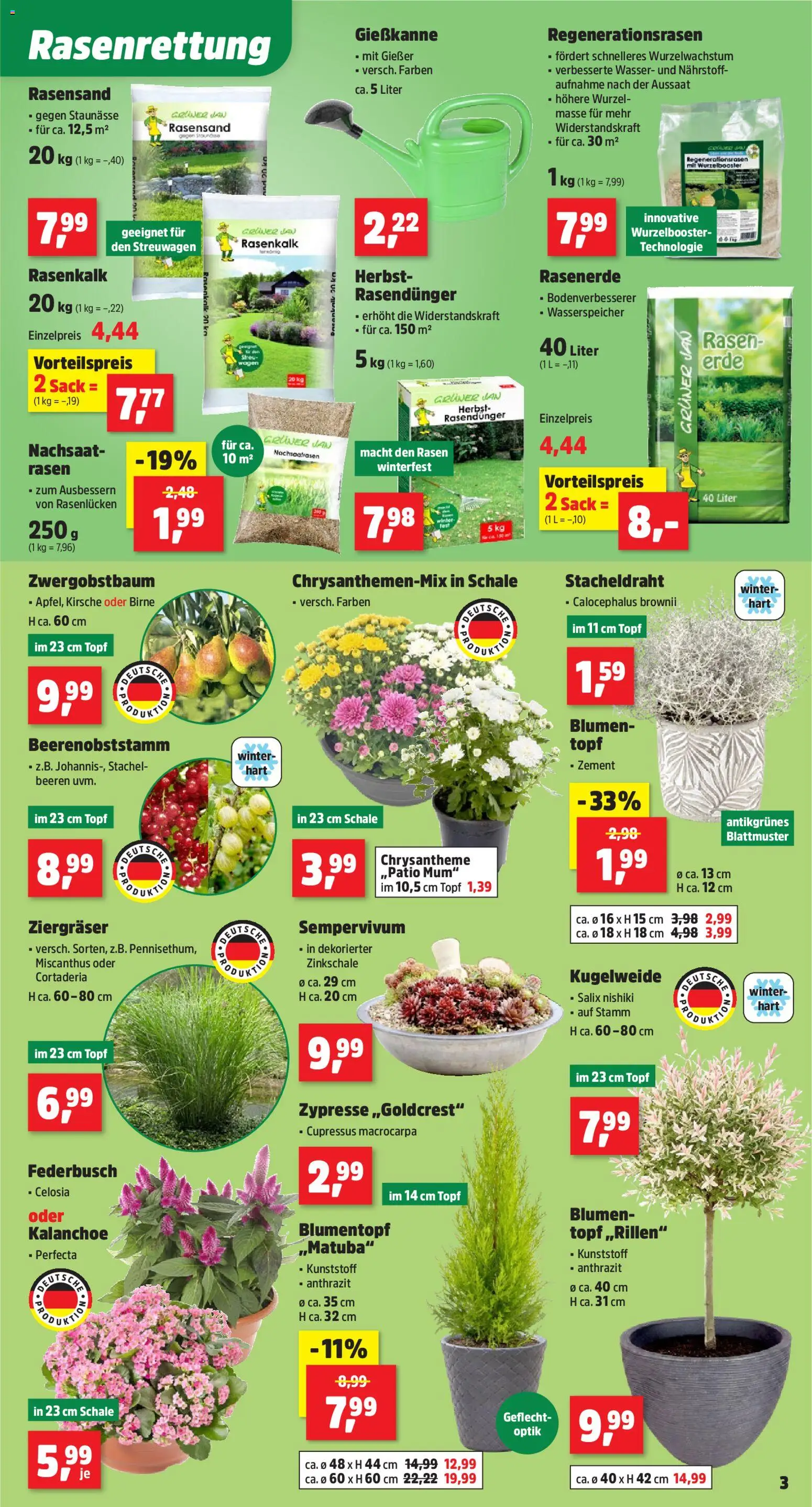 Vorschau von dem Prospekt des Geschäftes Thomas Philipps, gültig ab dem 07.09.2026 - Blumen, Wasser, Blumentopf, Birne