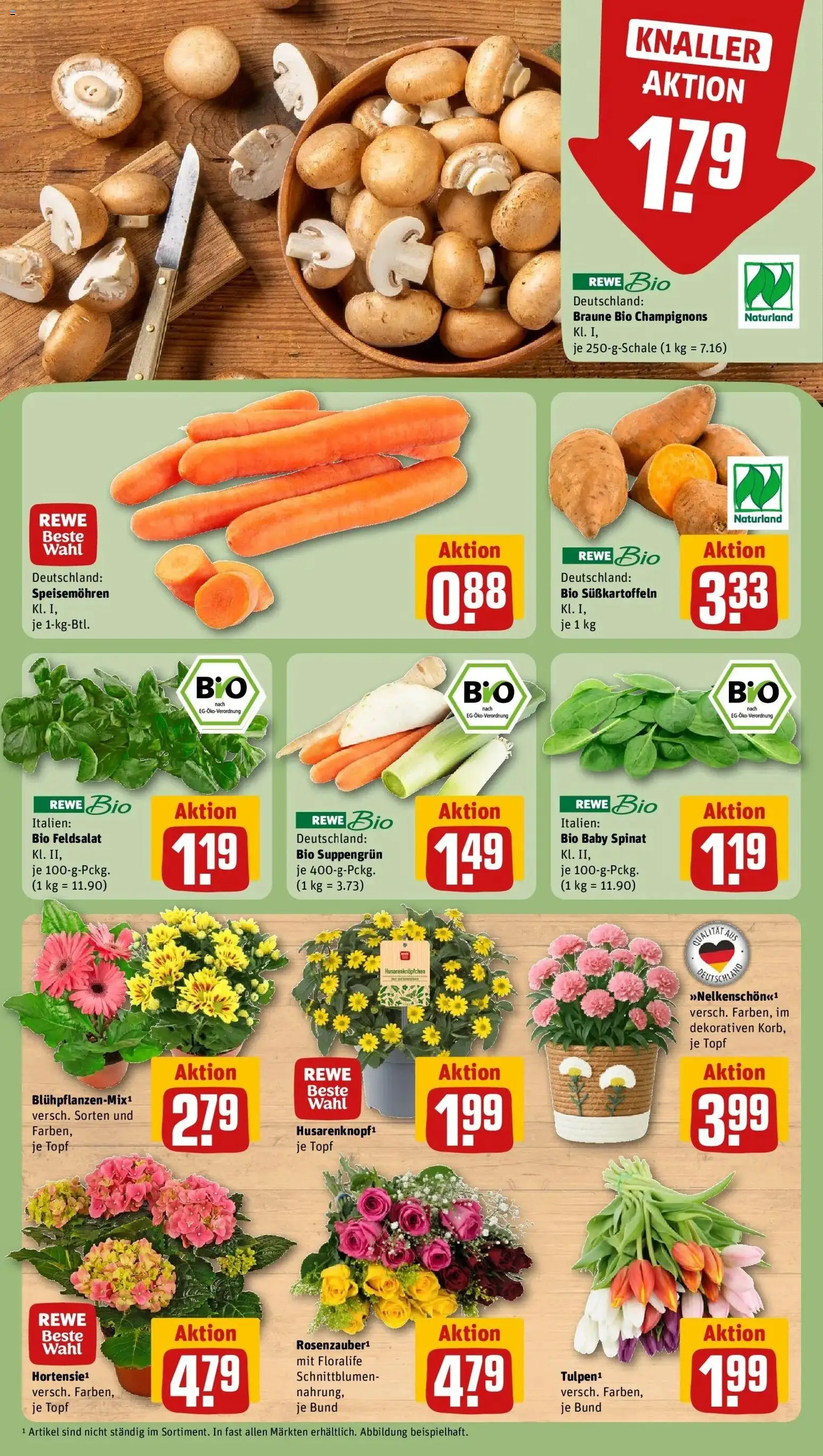Vorschau von dem Prospekt des Geschäftes Rewe, gültig ab dem 05.04.2026 - Champignons