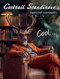 Prévisualisation de Cocktail Scandinave catalogue Spécial canapés du magasin Cocktail Scandinave formulaire valide 21/10/2026