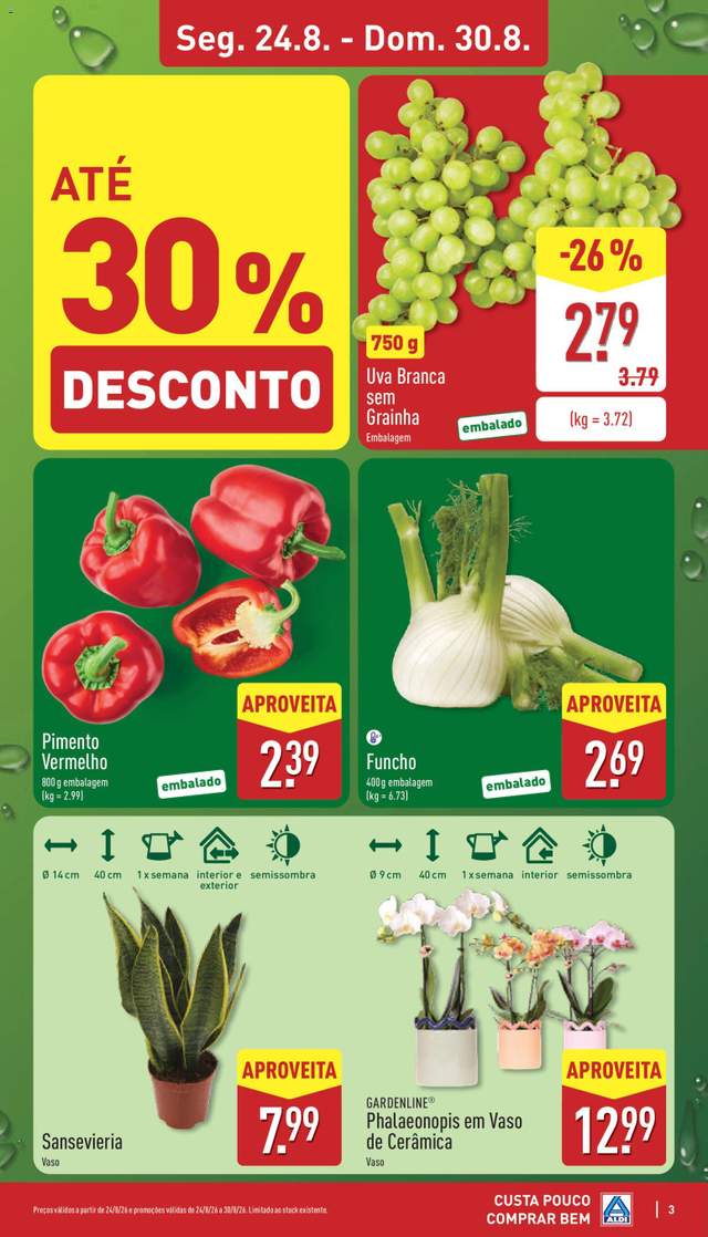 Novo folheto Aldi a partir de 24/08