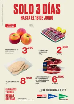 Vista previa del folleto de la tienda Supercor válido desde el 16/06/2026 