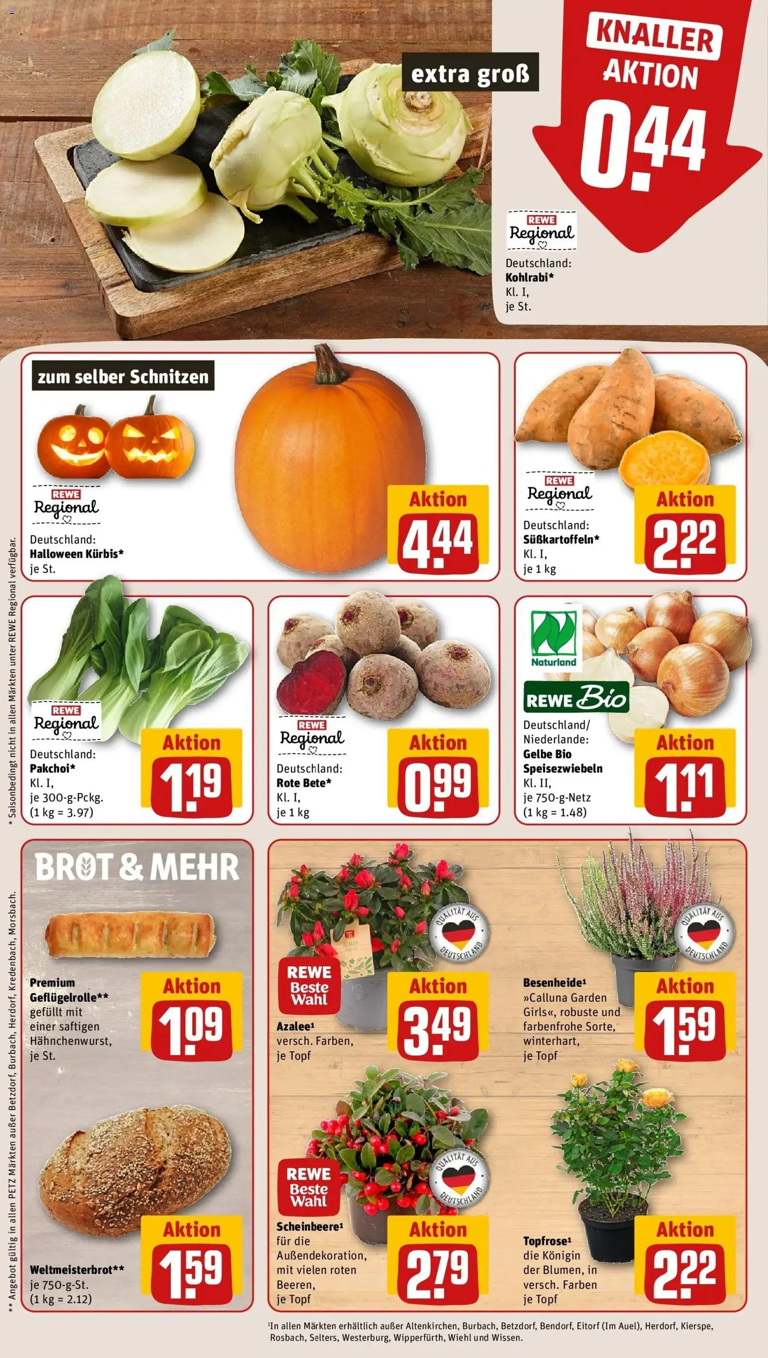 Vorschau von dem Prospekt des Geschäftes Rewe, gültig ab dem 12.10.2026