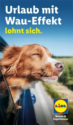 Vorschau von dem Prospekt des Geschäftes Lidl Reisen, gültig ab dem 29.07.2026