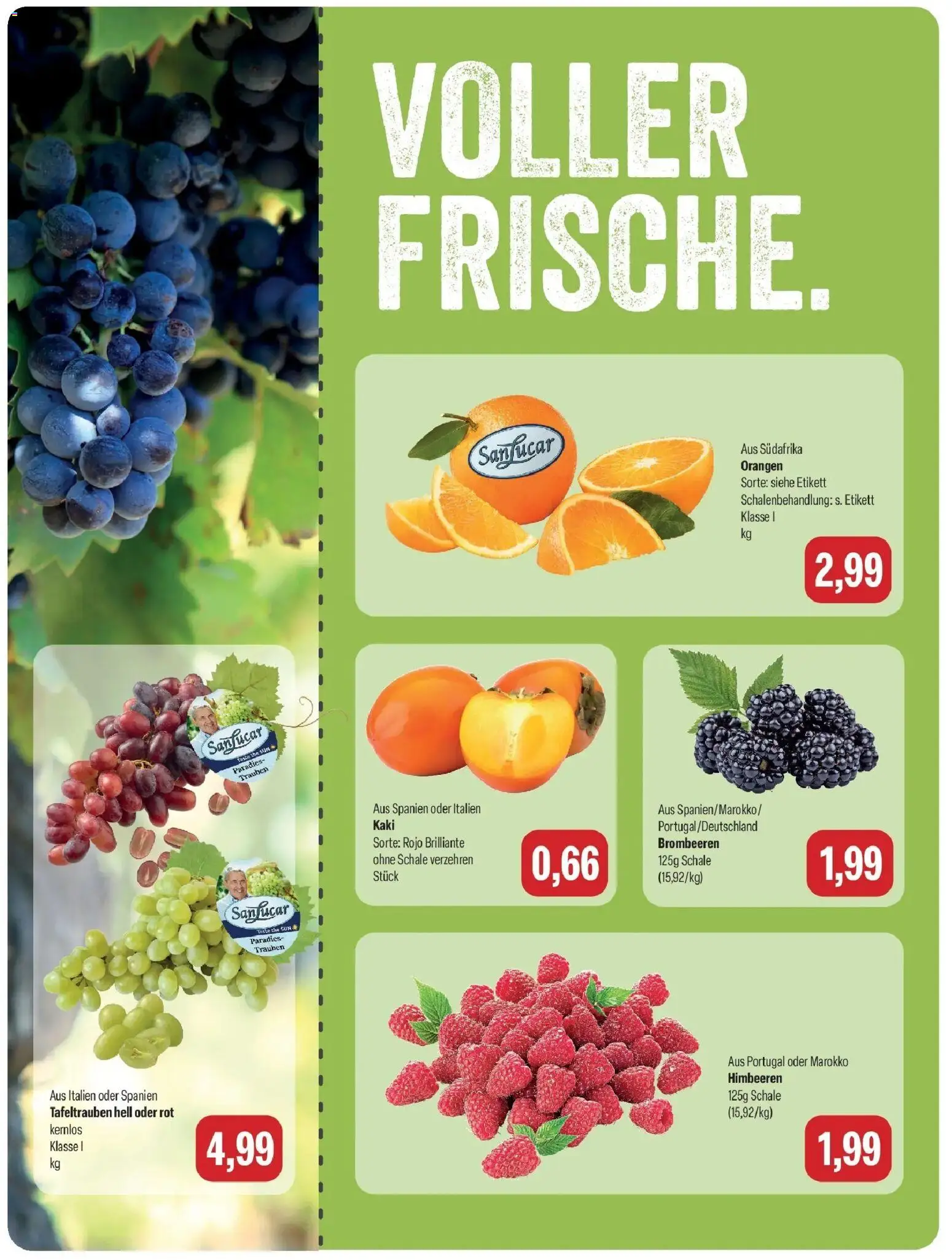 Vorschau von dem Prospekt des Geschäftes Feneberg, gültig ab dem 25.10.2026