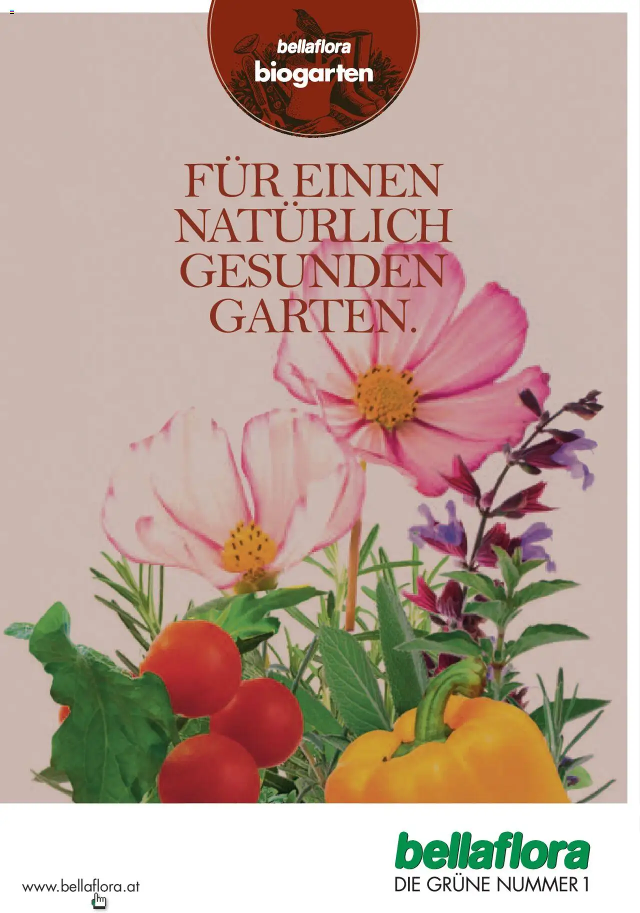 Vorschau der Angebote: bellaflora Flugblatt gültig ab 24.06.2022