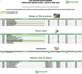 Prévisualisation de Promocash Opportunités Marée du magasin Promocash formulaire valide 05/05/2026
