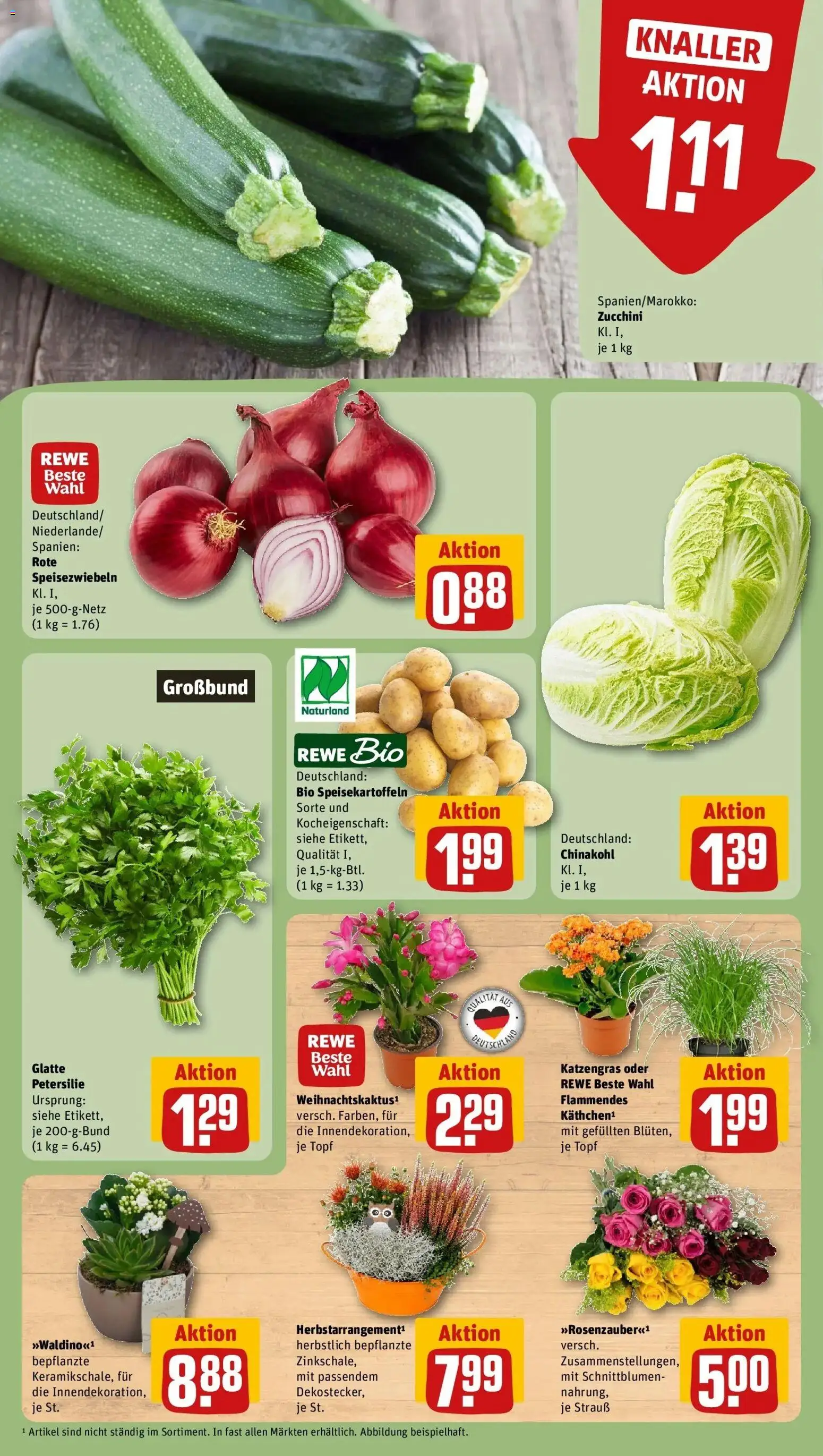 Vorschau von dem Prospekt des Geschäftes Rewe, gültig ab dem 26.10.2026