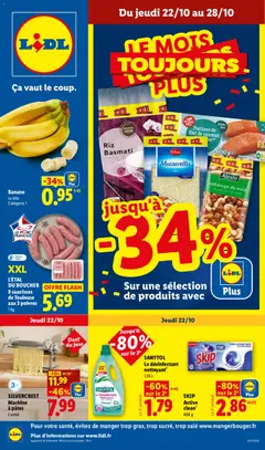 Prévisualisation de LIDL catalogue du magasin LIDL formulaire valide 22/10/2026