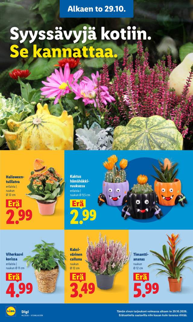 Uusi Lidl tarjouslehti alkaen 29/10