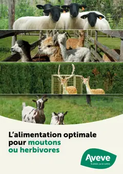 Voorbeeld van Guide petits ruminants van winkel Aveve geldig vanaf 09/02/2026