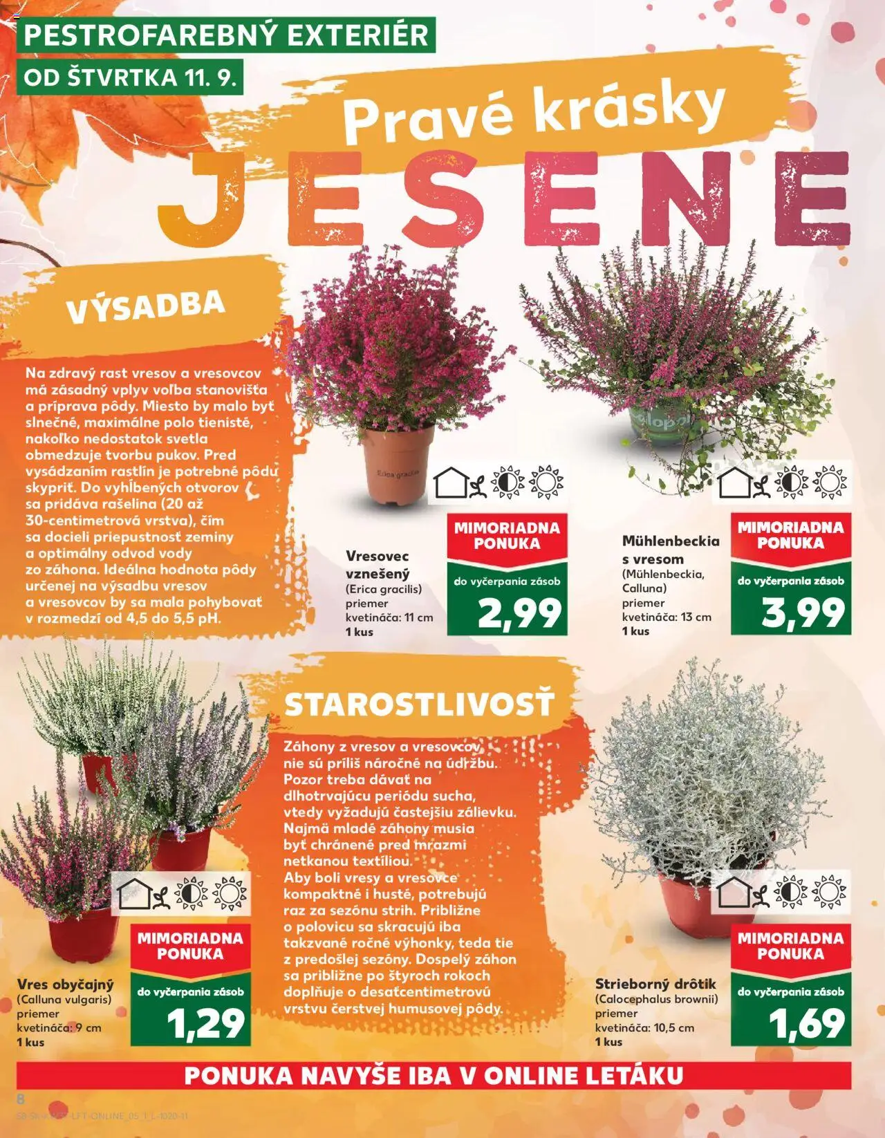 Náhľad Kaufland letáku platného od 11.09.2025 - Svetlá