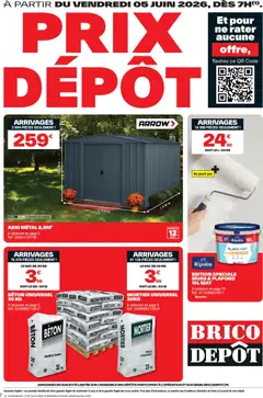 Prévisualisation de Brico Dépôt catalogue du magasin Brico Dépôt formulaire valide 05/06/2026