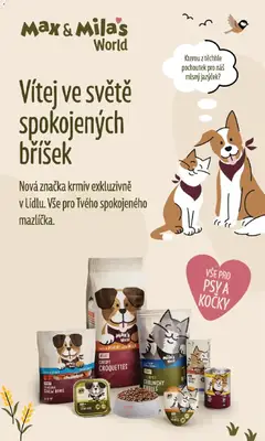 Náhled nabídky: Lidl Lidl aktuální leták platný od 12.10.2026