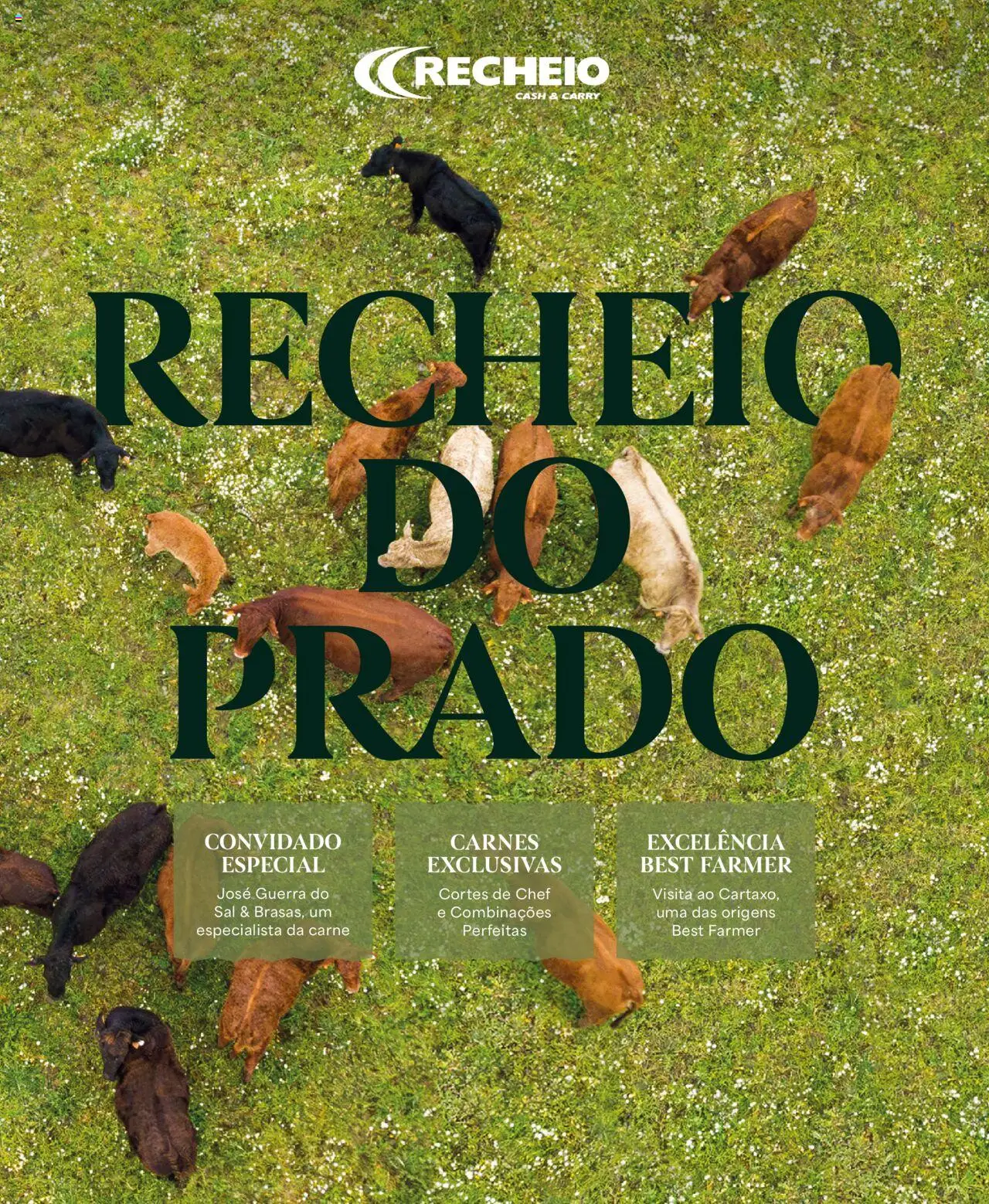 Pré-visualização do folheto da loja Recheio válida a partir de 24/04/2025