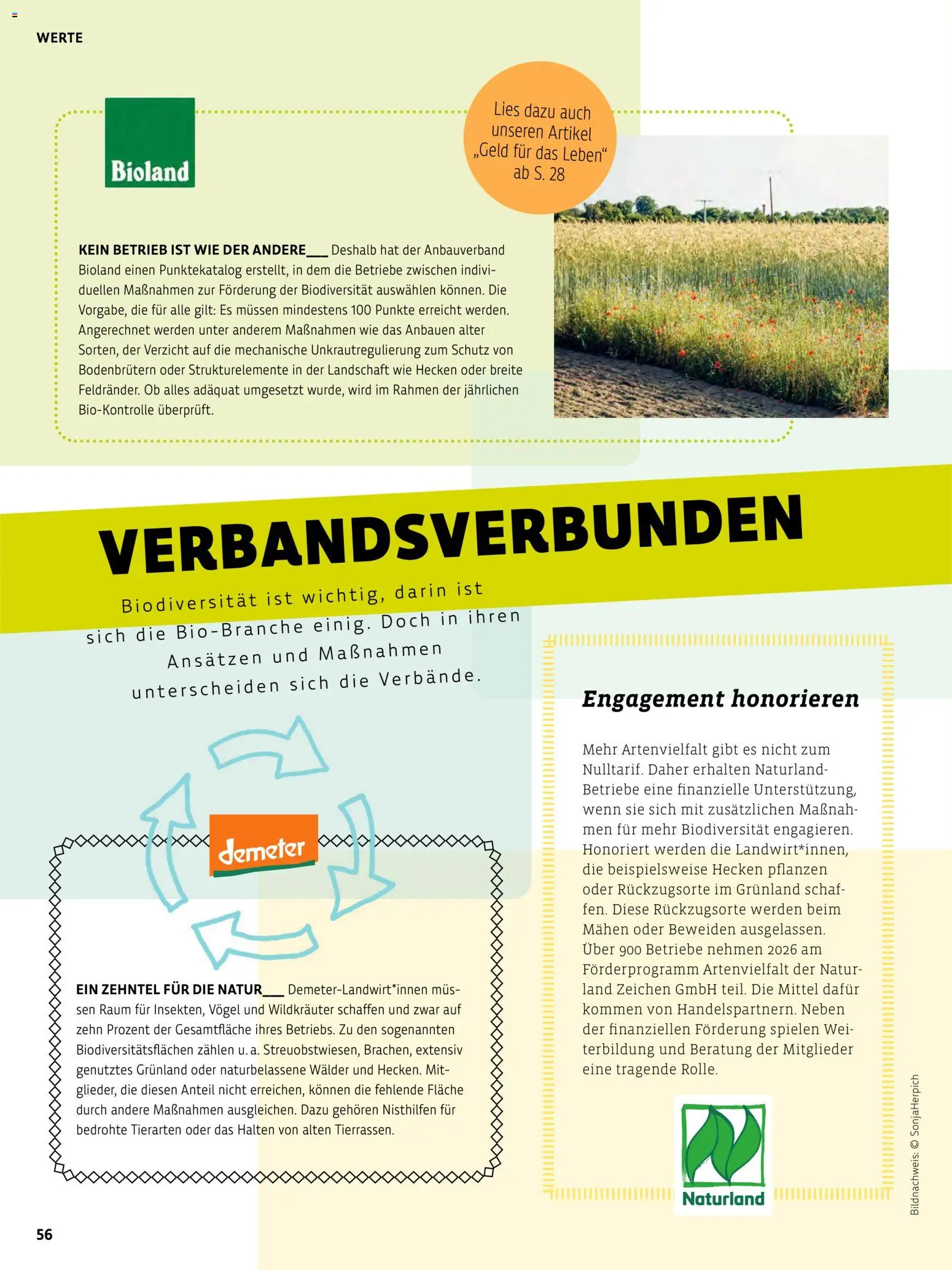 Vorschau von dem Prospekt des Geschäftes BioMarkt, gültig ab dem 17.07.2026