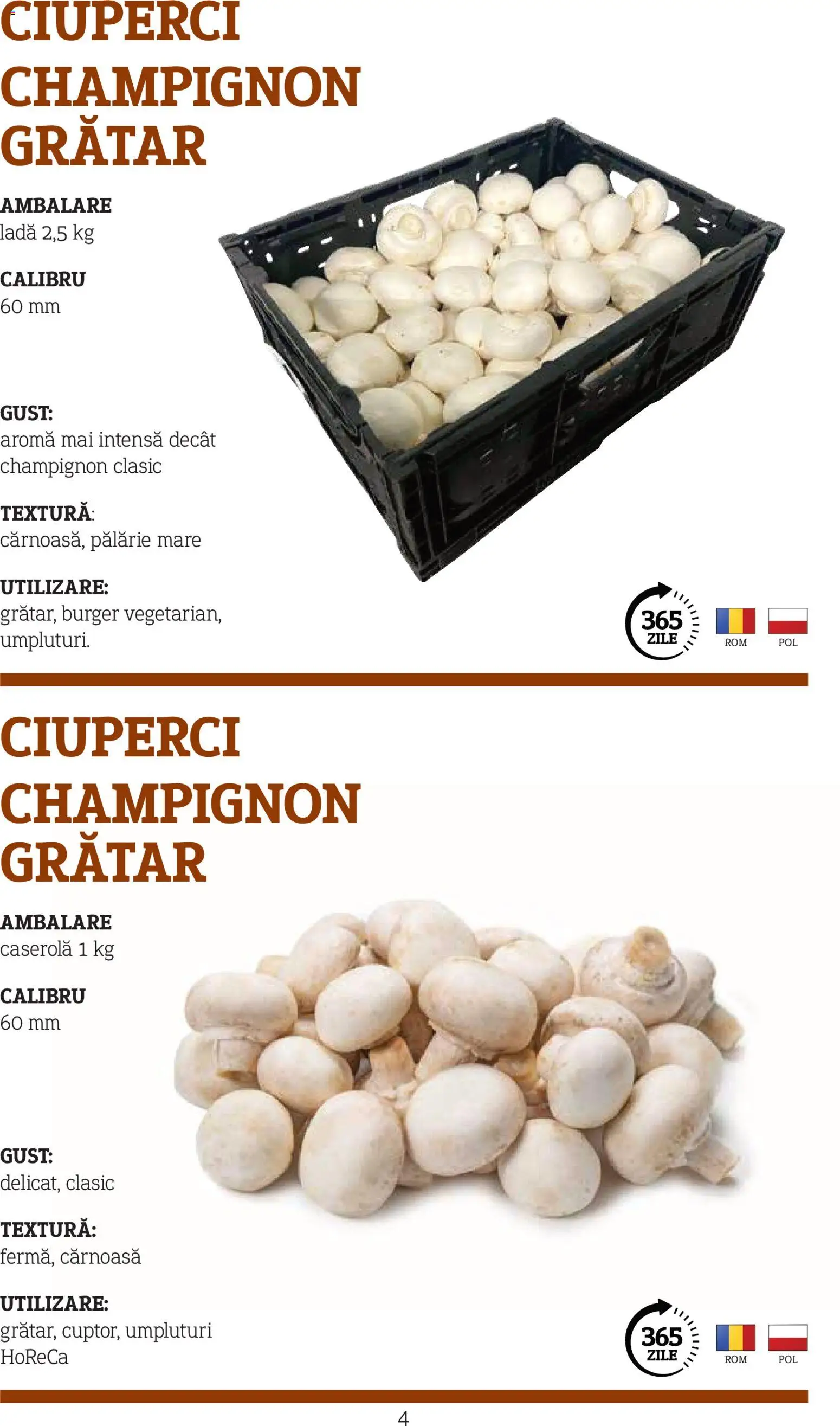 Previzualizarea de cataloage: Metro Catalog - Varietăți de Ciuperci valabil de la 10.11.2025