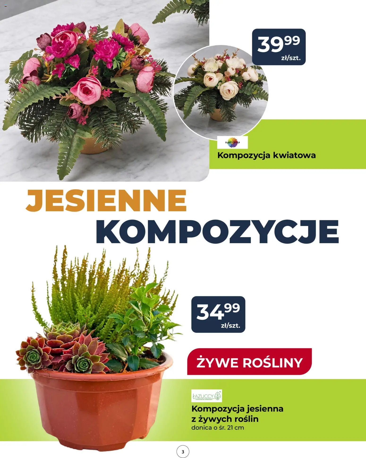 Pogląd gazetki "Mrówka gazetka" ze sklepu Mrówka ważnej od 08.10.2026 - Rosliny