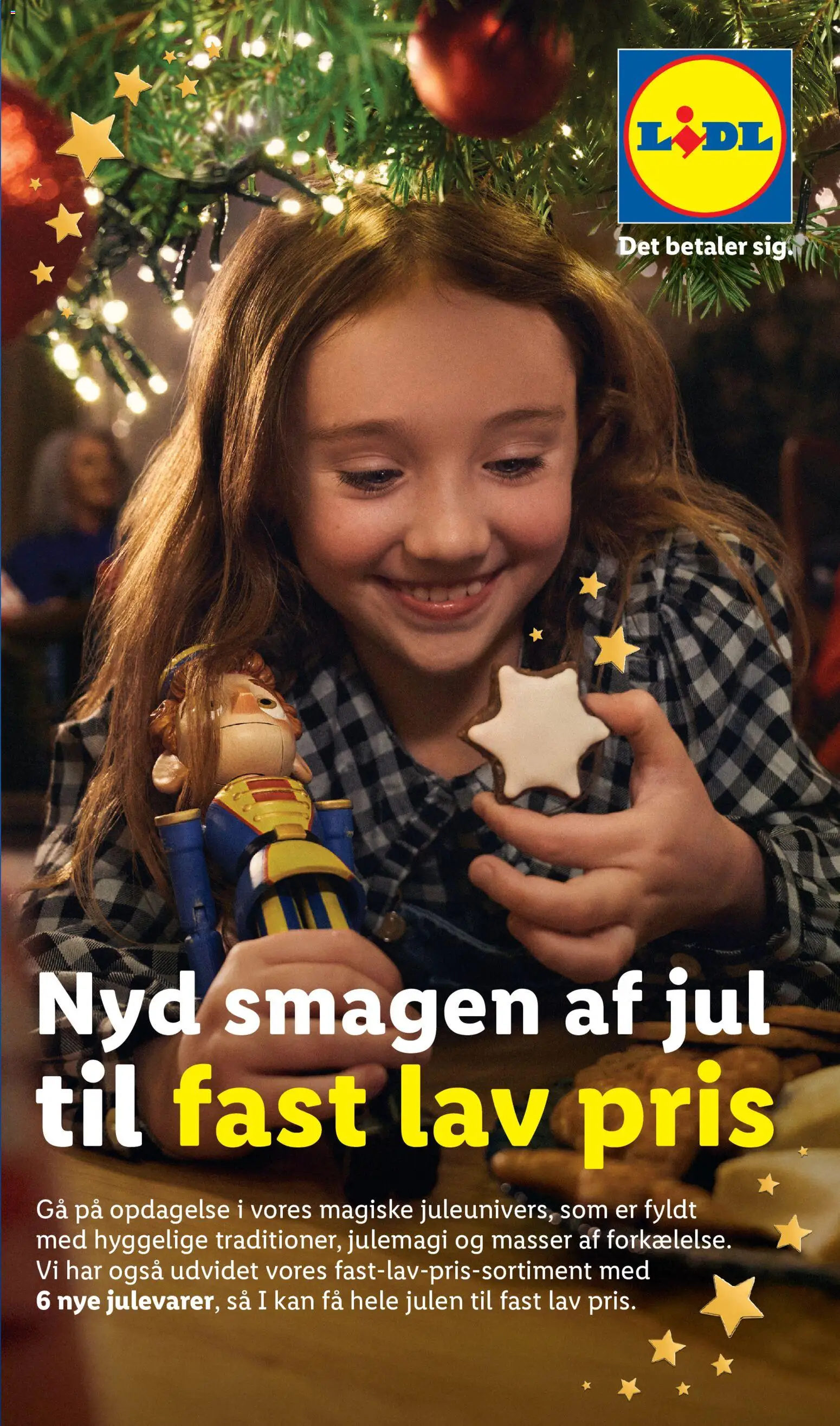Eksempel på tilbudsavis Lidl - Tilbudsavis fra butik Lidl gyldig fra 25/10/2026 - Søm