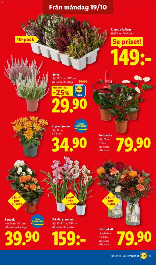 Nytt Lidl reklamblad från 19/10