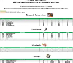 Prévisualisation de Promocash Opportunités Marée du magasin Promocash formulaire valide 27/10/2026
