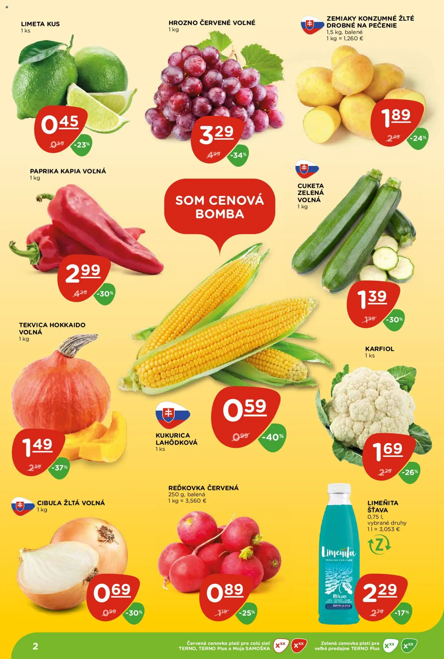 Náhľad Terno letáku platného od 13.08.2026